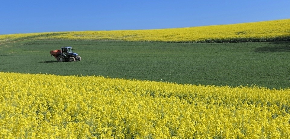 agri.jpg
