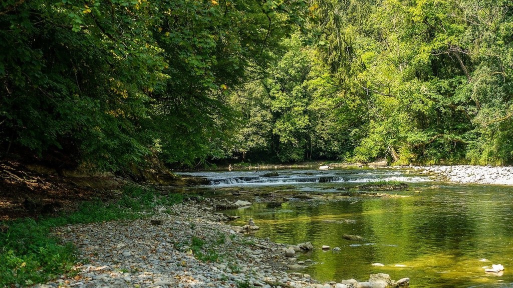 natura.jpg