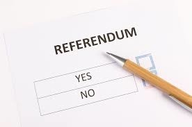 referendum 8 luglio.jpg