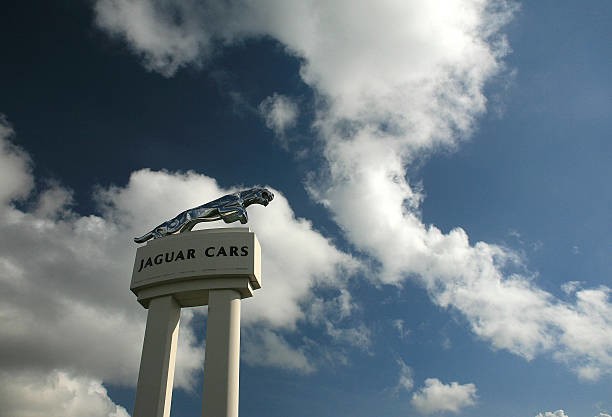 jaguar cars.jpg