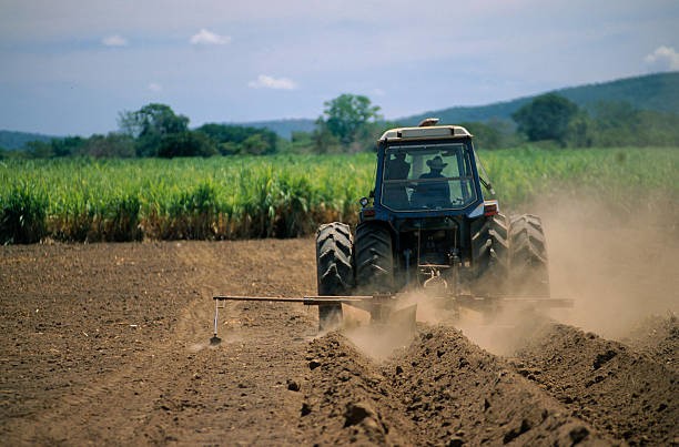 agricoltura.jpg