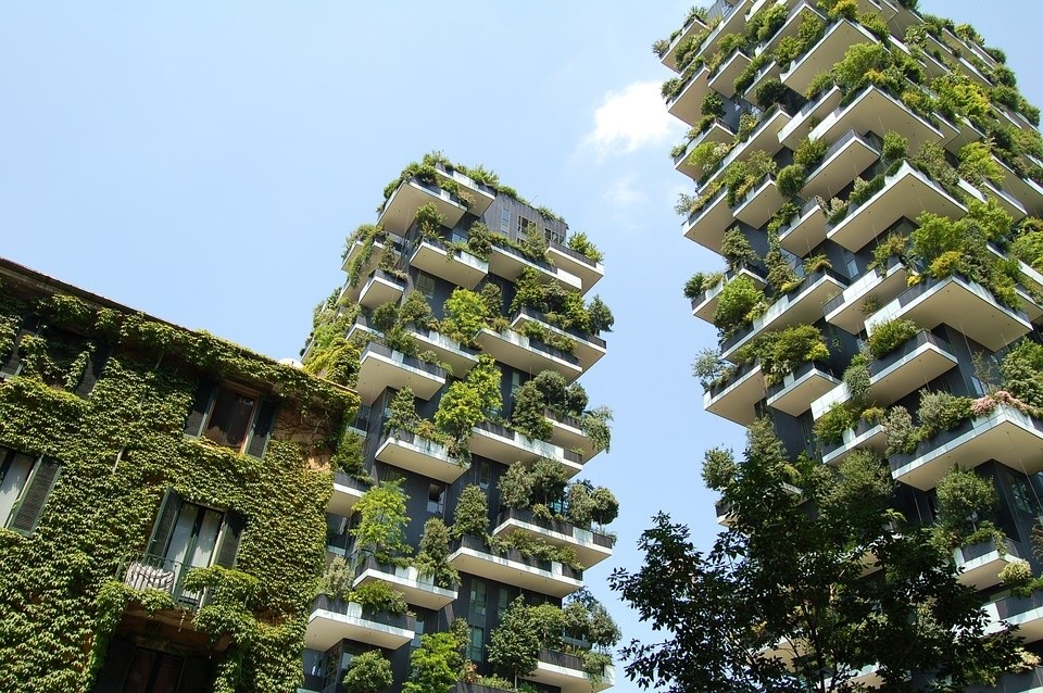 architecture-2594080_960_720.jpg
