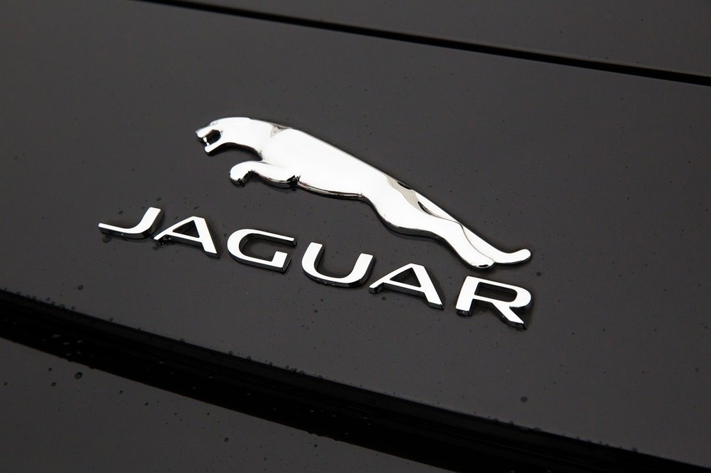 jaguar-1076207_1280.jpg