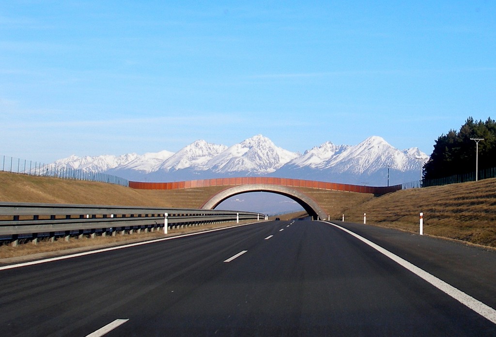 VysokeTatry11Slovakia17.jpg