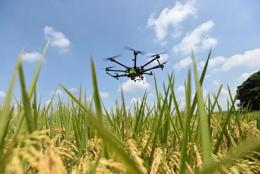 drone.jpg