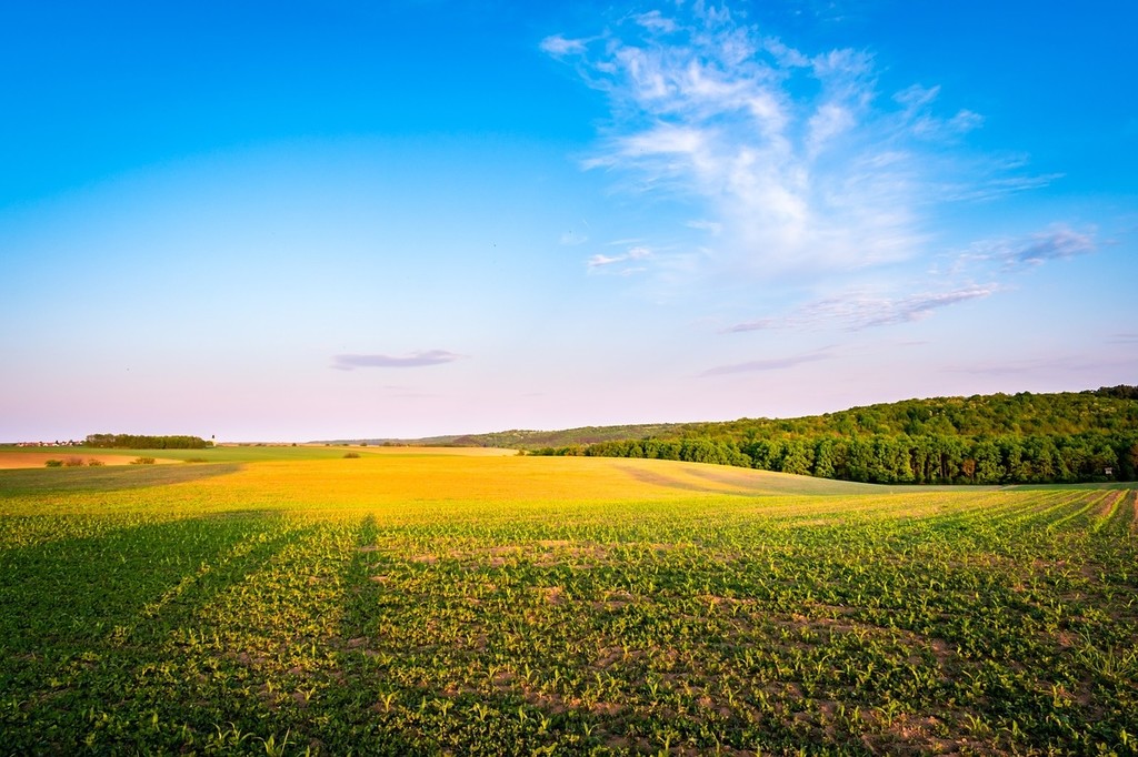agricultural-7277520_1280.jpg