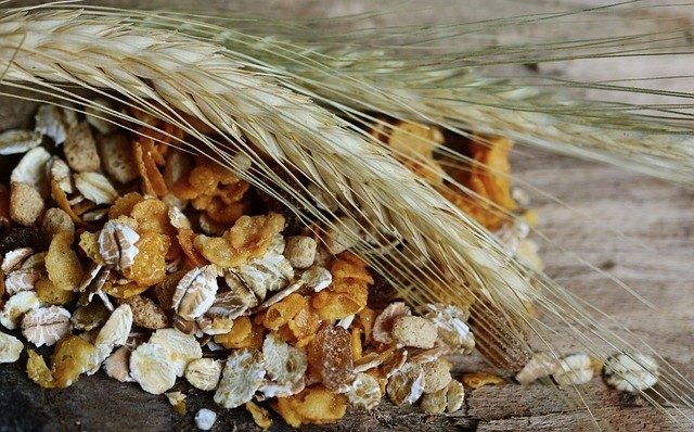 cereals-2437808_640.jpg