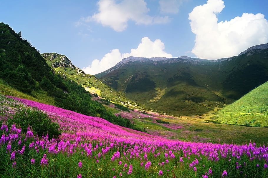 slovakia-high-tatras-la-landscape-nature-mountain.jpg