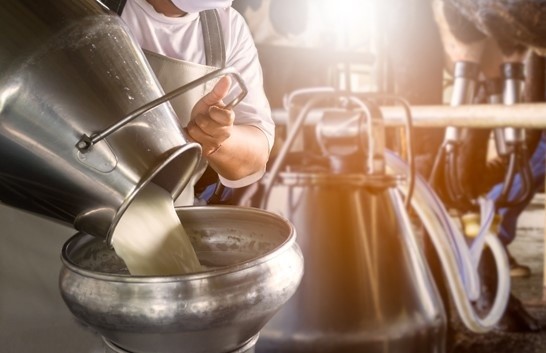 Milk production.jpg