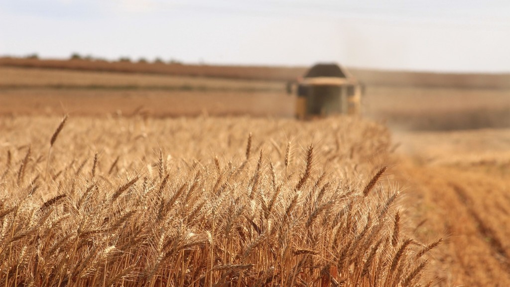 grain_import_ukraine_africa-scaled.jpg