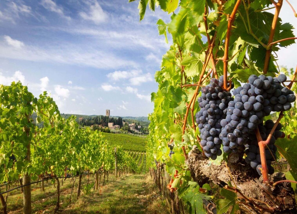 Chianti.jpg