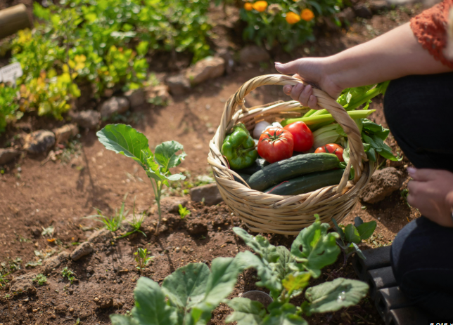 prodotti agricoli.PNG