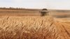 grain_import_ukraine_africa-scaled.jpg