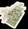 Palma1.png