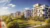 slnecnice-03.jpg
