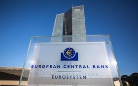 ECB1.jpg