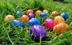 easter_eggs_color_eggs_spring_in_the_grass_colors_easter_eggs-741964.jpeg