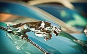 Jaguar.jpg