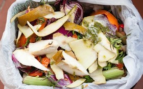 spreco alimentari.jpg
