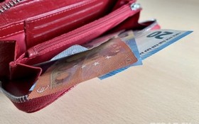 money17.jpg